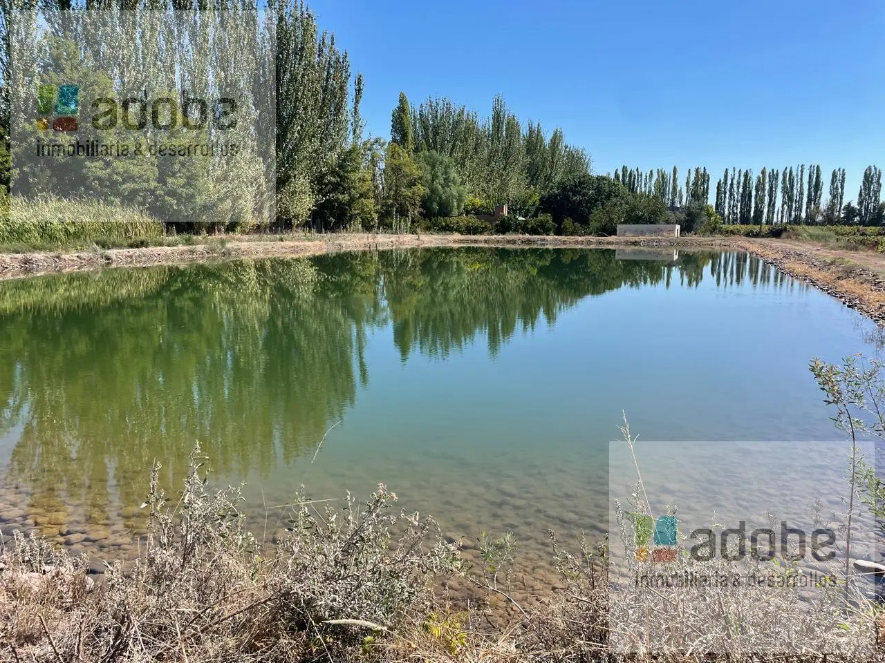 Finca de 9 has Malbec a la venta en Agrelo 1
