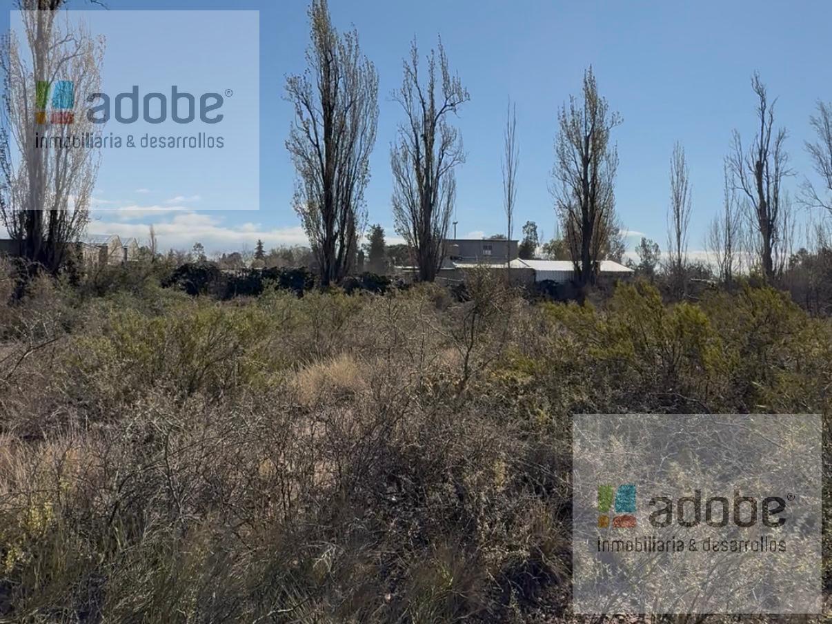 Foto de Terreno de 2,5 has en venta, imagen 4