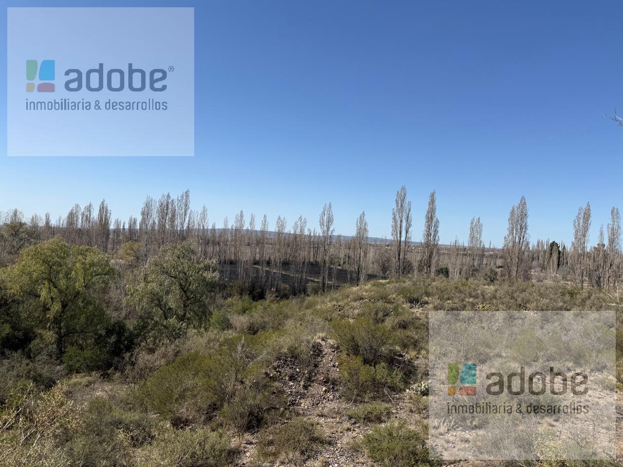 Foto de Terreno de 2,5 has en venta, imagen 2