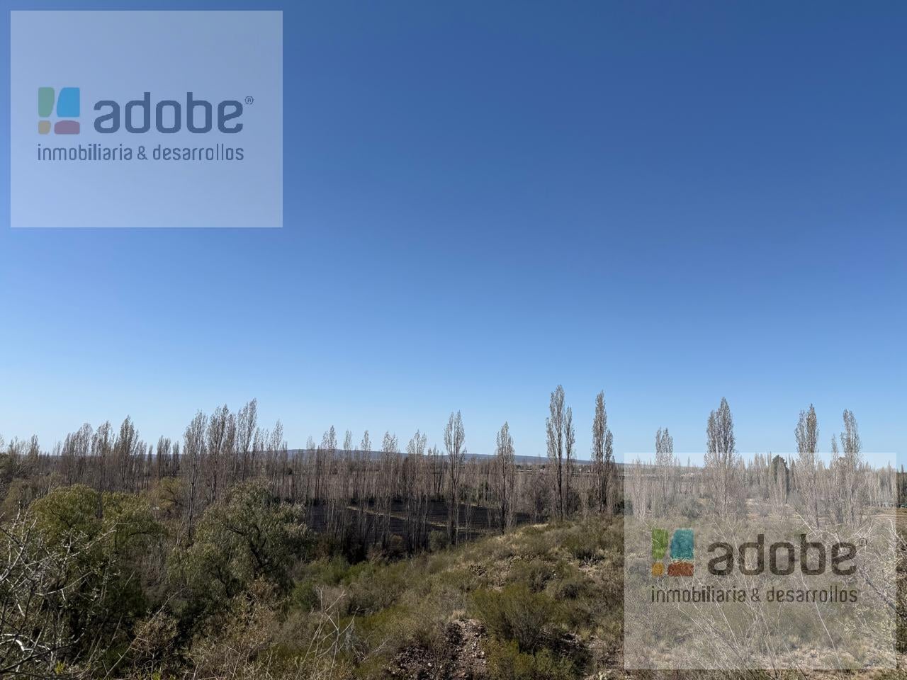 Foto de Terreno de 2,5 has en venta, imagen 5