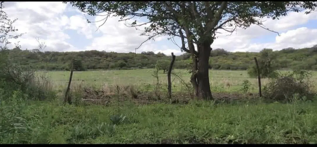 Campo de 24 hectáreas en La Granja con vista única y gran potencial de inversión 3
