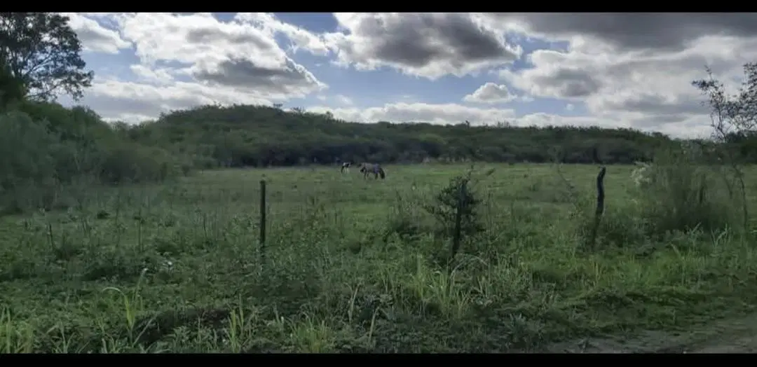 Campo de 24 hectáreas en La Granja con vista única y gran potencial de inversión 5