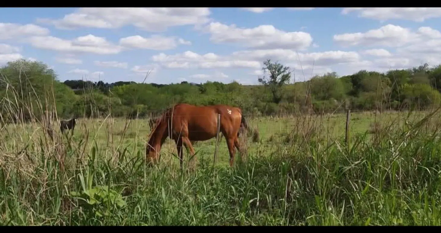 Campo de 24 hectáreas en La Granja con vista única y gran potencial de inversión 4
