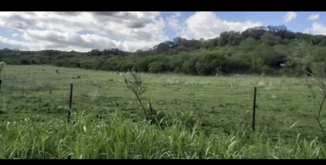 Campo de 24 hectáreas en La Granja con vista única y gran potencial de inversión 8