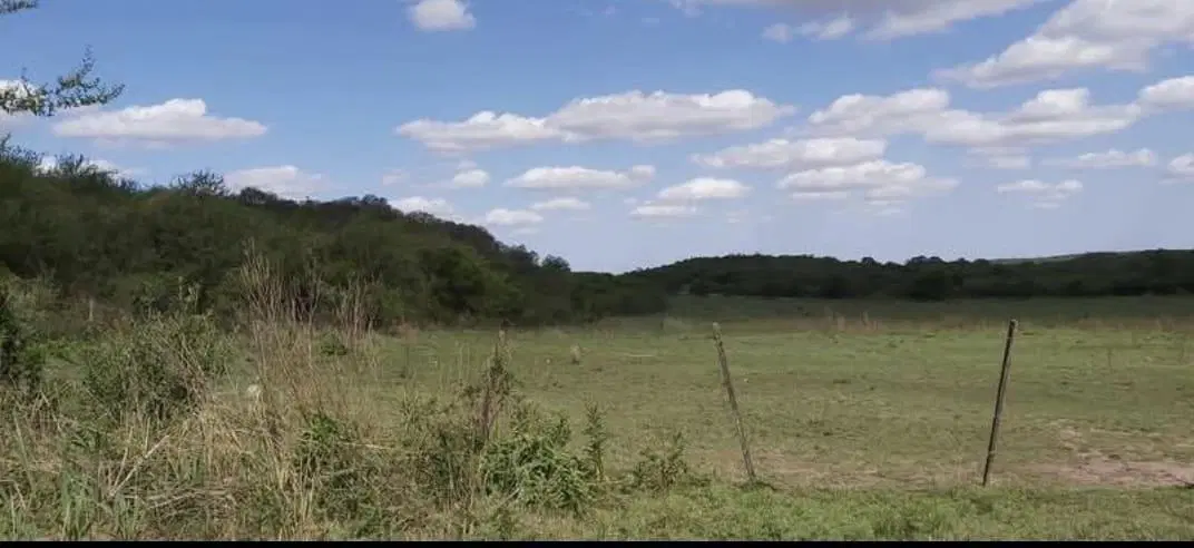 Campo de 24 hectáreas en La Granja con vista única y gran potencial de inversión 2