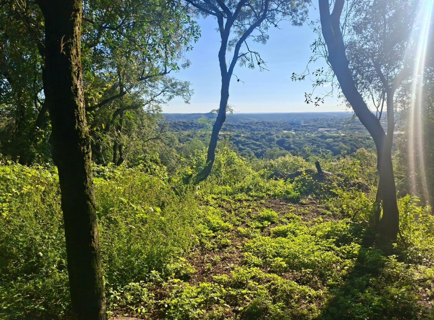 Foto de Salsipuedes 5.5 hectáreas zona orfeo, imagen 2