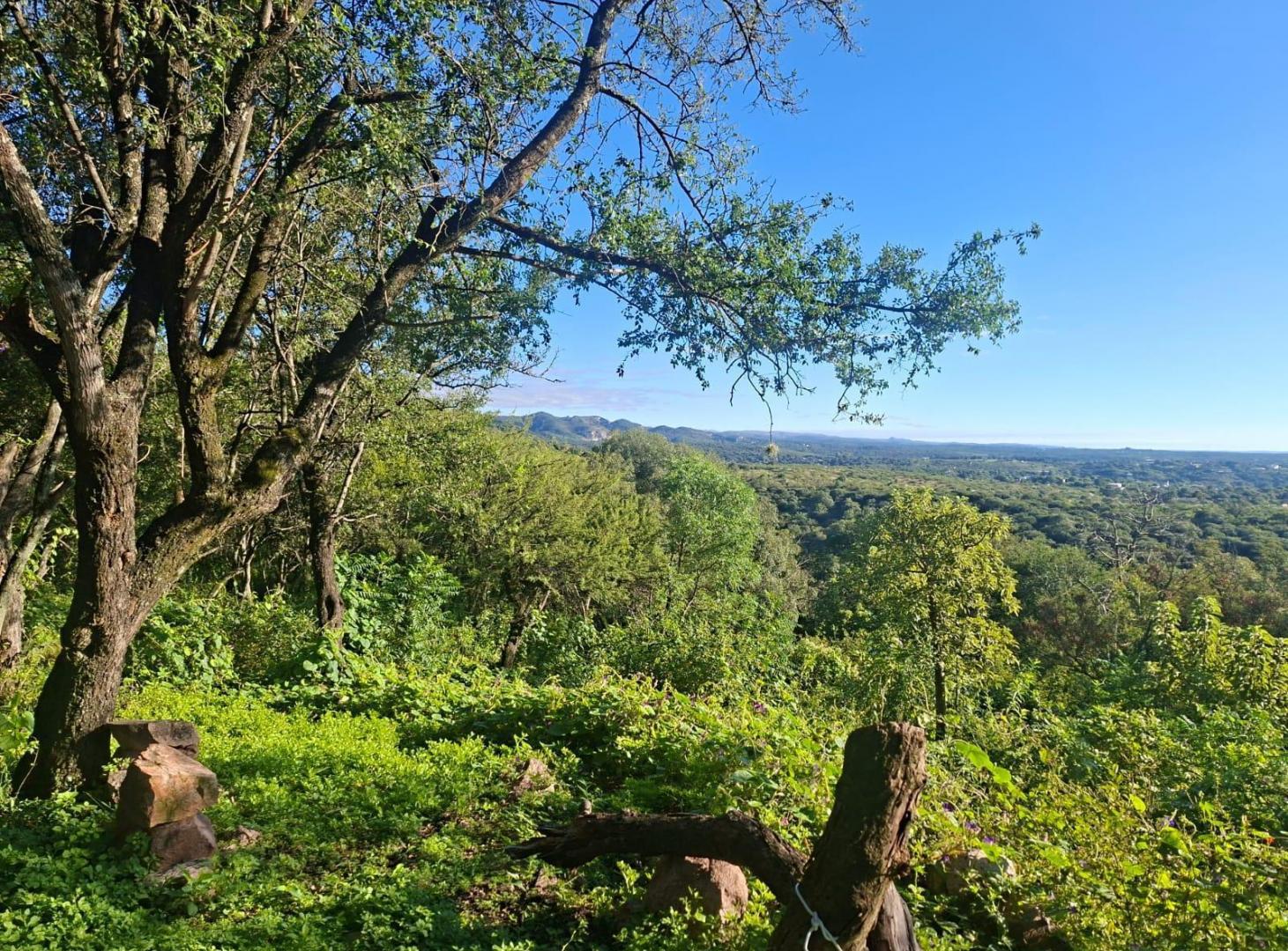 Foto de Salsipuedes 5.5 hectáreas zona orfeo, imagen 5