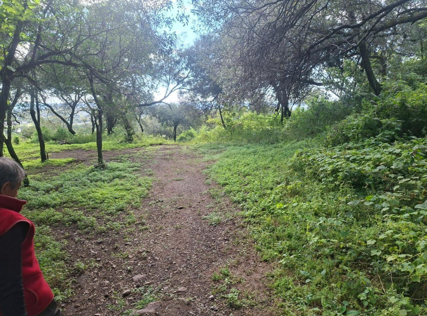Foto de Salsipuedes 5.5 hectáreas zona orfeo, imagen 3