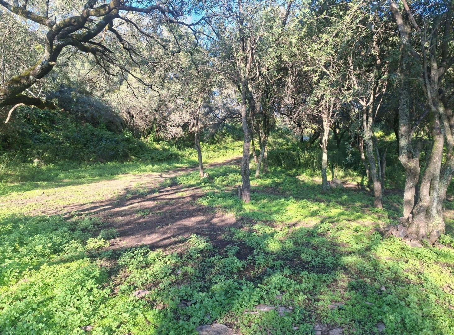 Foto de Salsipuedes 5.5 hectáreas zona orfeo, imagen 4