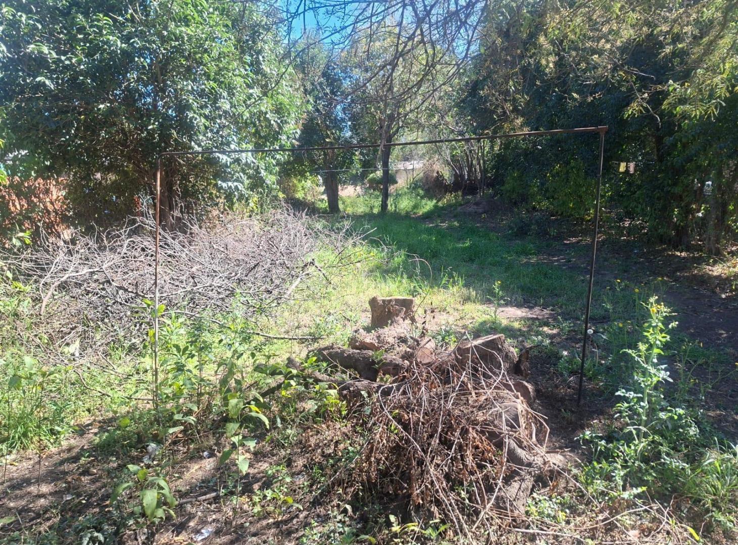 Foto de Terreno plano de 842 m² sobre Ruta Saldán–Ichín, imagen 3