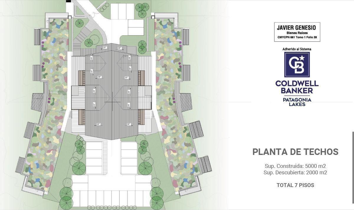 Plano 7