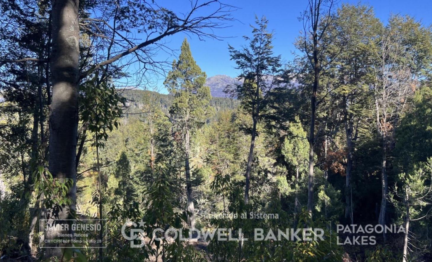 VENTA Lote/Terreno 517m2 barrio cerrado SELVANA Villa La Angostura