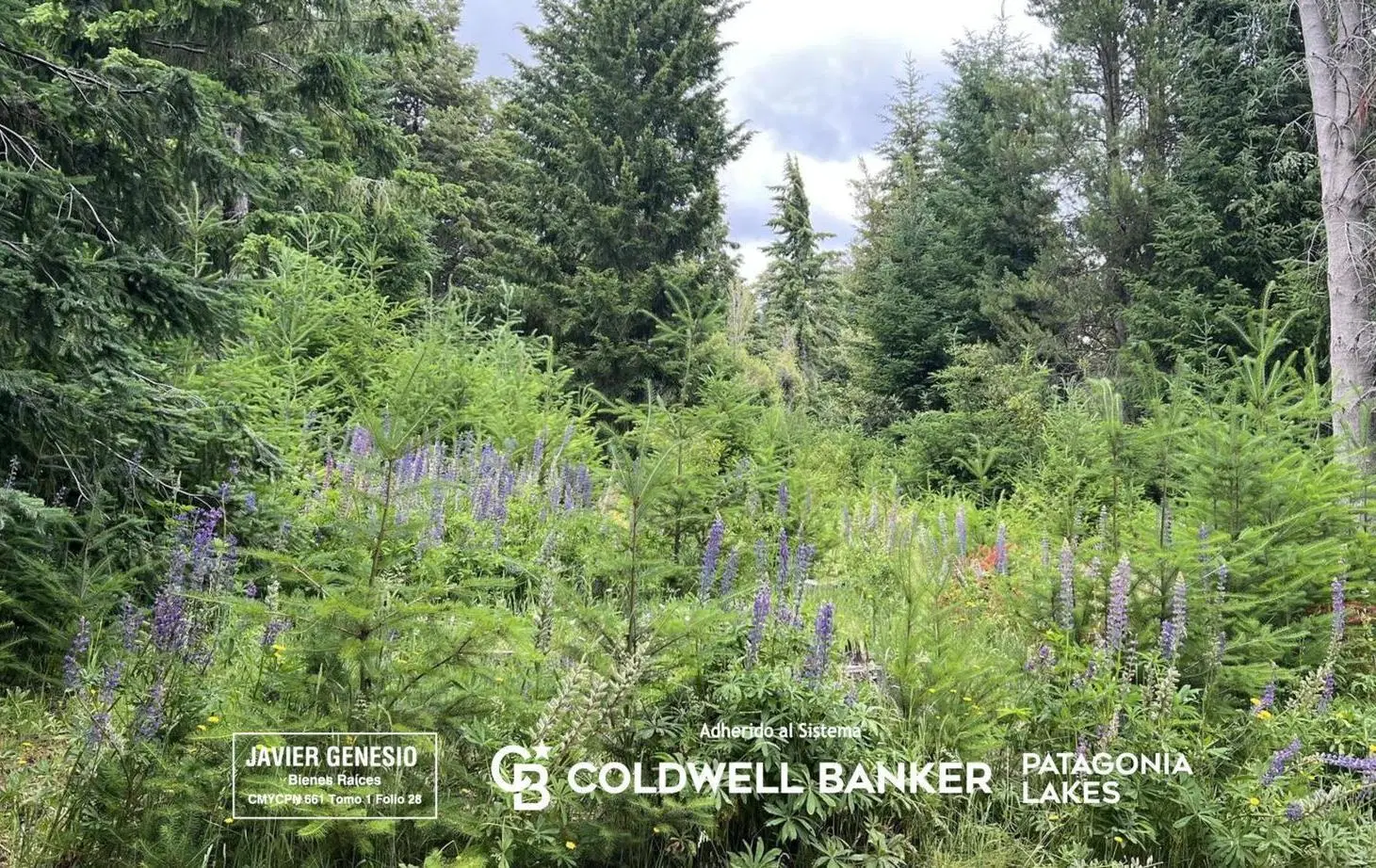 VENTA Lote | Terreno 3000m2 UF 4 Villa La Angostura Acceso al lago 2
