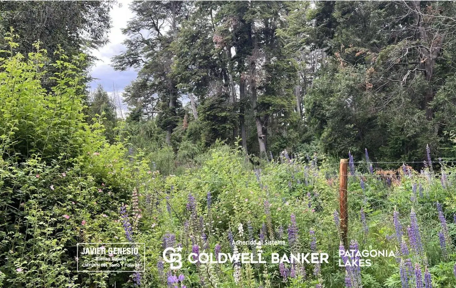 VENTA Lote | Terreno 3000m2 UF 4 Villa La Angostura Acceso al lago 4