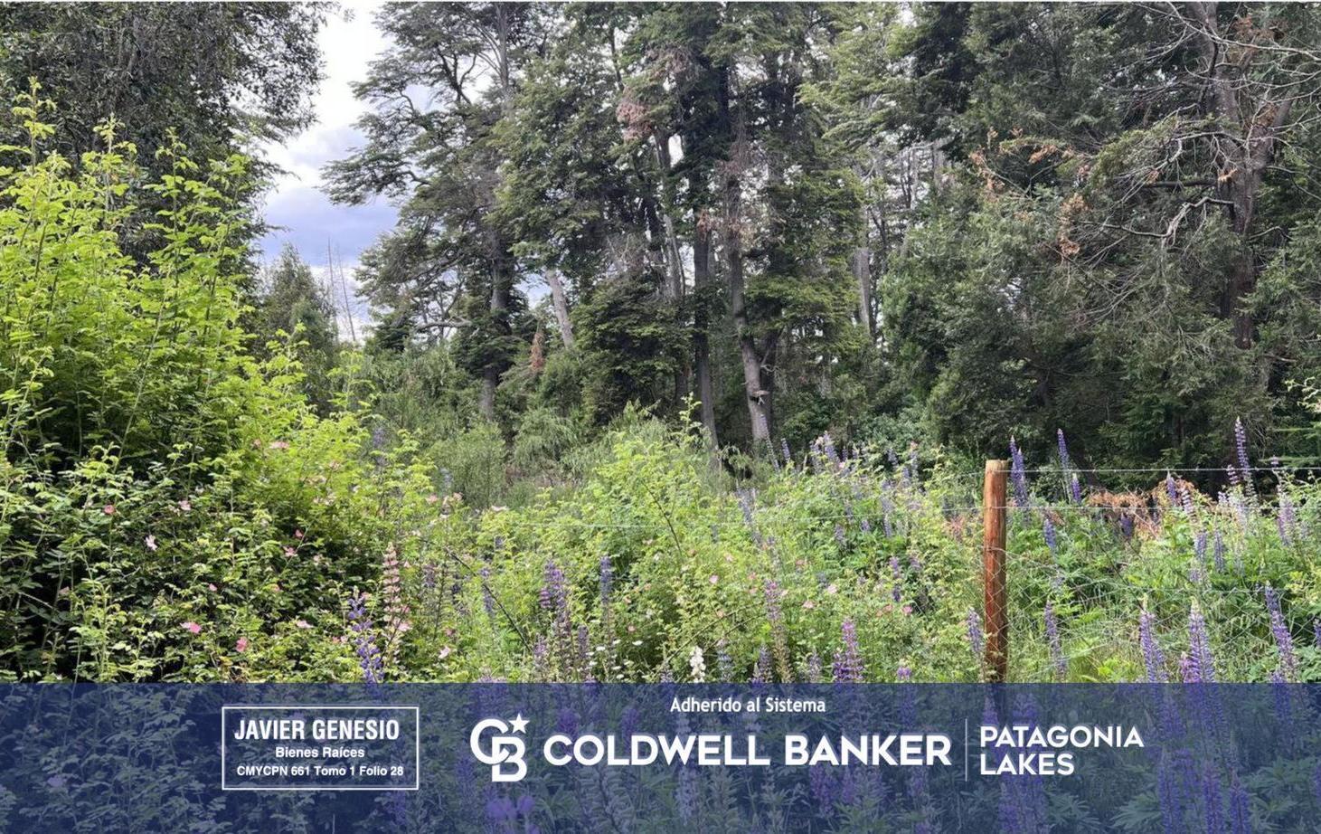 VENTA Lote | Terreno 3000m2 UF 4 Villa La Angostura Acceso al lago
