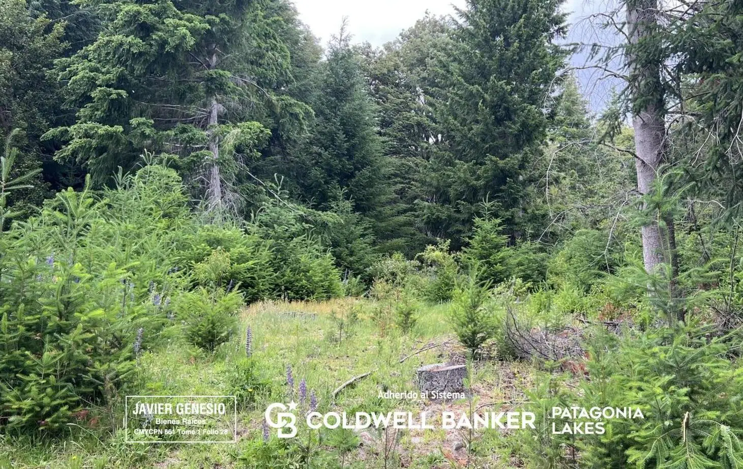 VENTA Lote | Terreno 3000m2 UF 9 Villa La Angostura Acceso al lago 3