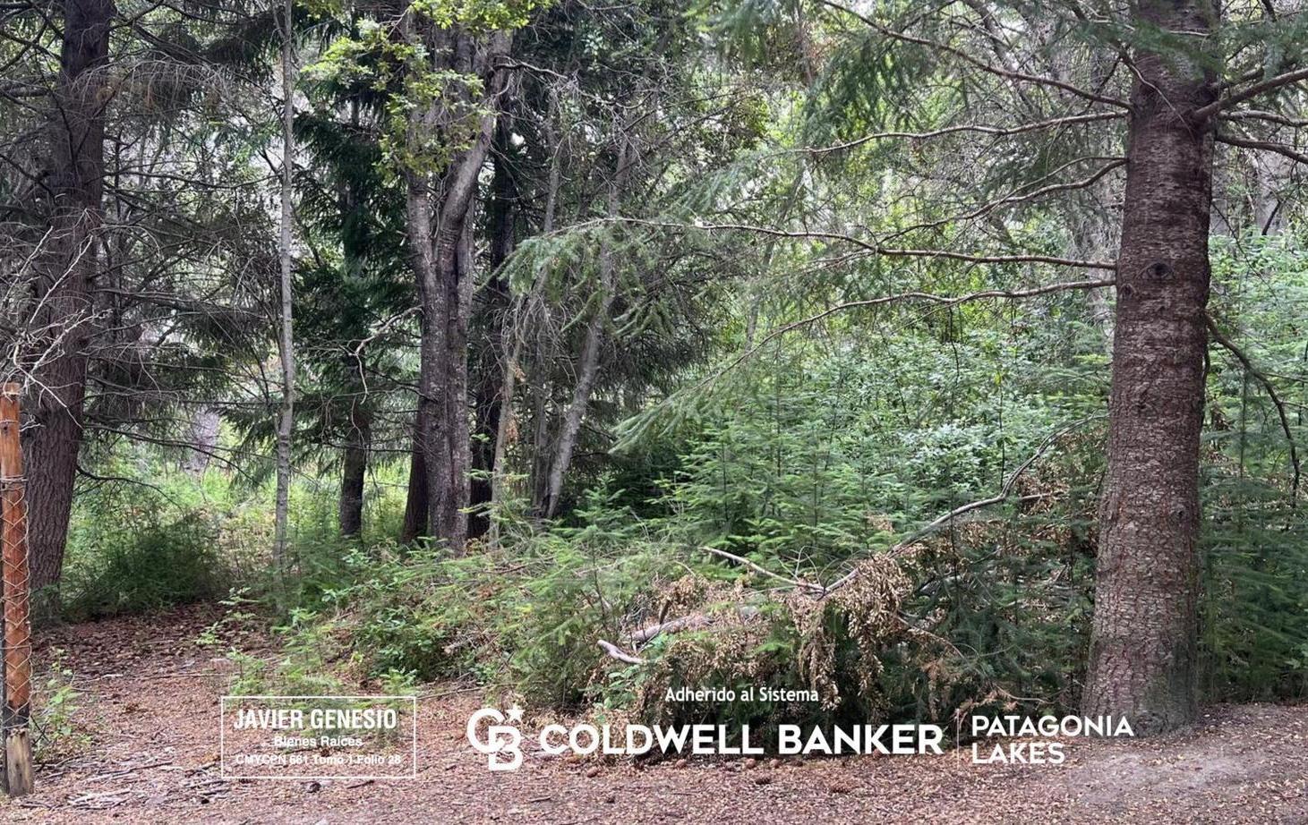 Foto de VENTA Lote | Terreno 3000m2 UF 9 Villa La Angostura Acceso al lago, imagen 5