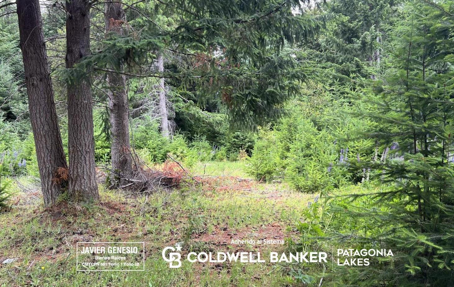 VENTA Lote | Terreno 3000m2 UF 9 Villa La Angostura Acceso al lago