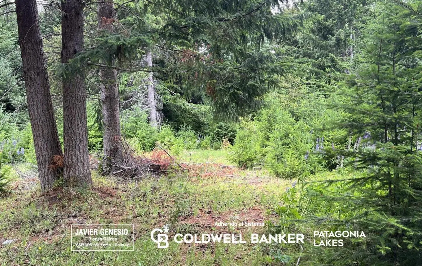 VENTA Lote | Terreno 3000m2 UF 9 Villa La Angostura Acceso al lago 2