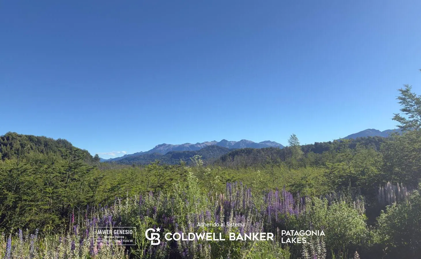 VENTA - Terreno de 1603 m2 - Las Balsas - Villa la Angostura 4