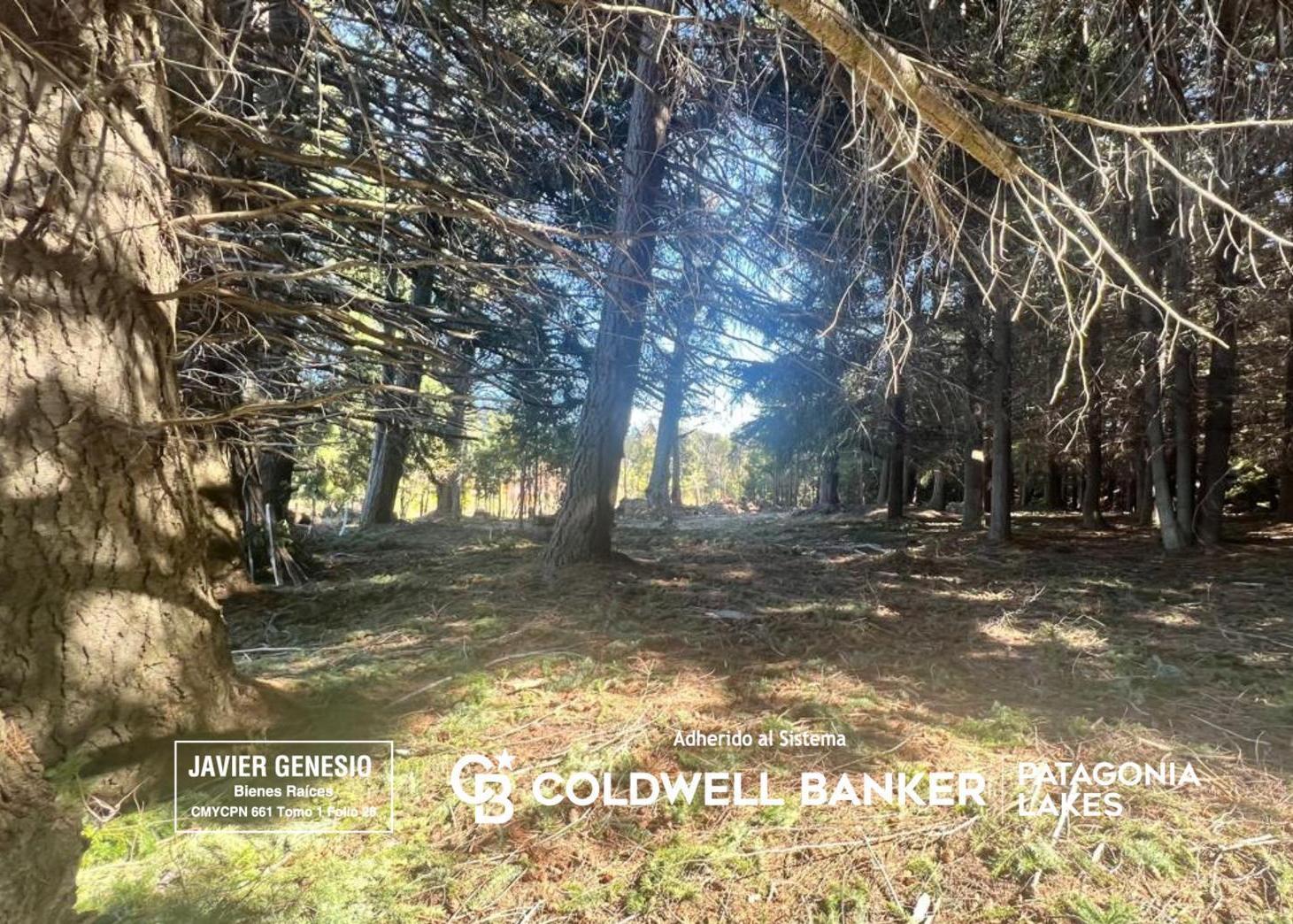 Foto de VENTA Lote 3.463 m2 Puerto Manzano Villa La Angostura, imagen 3