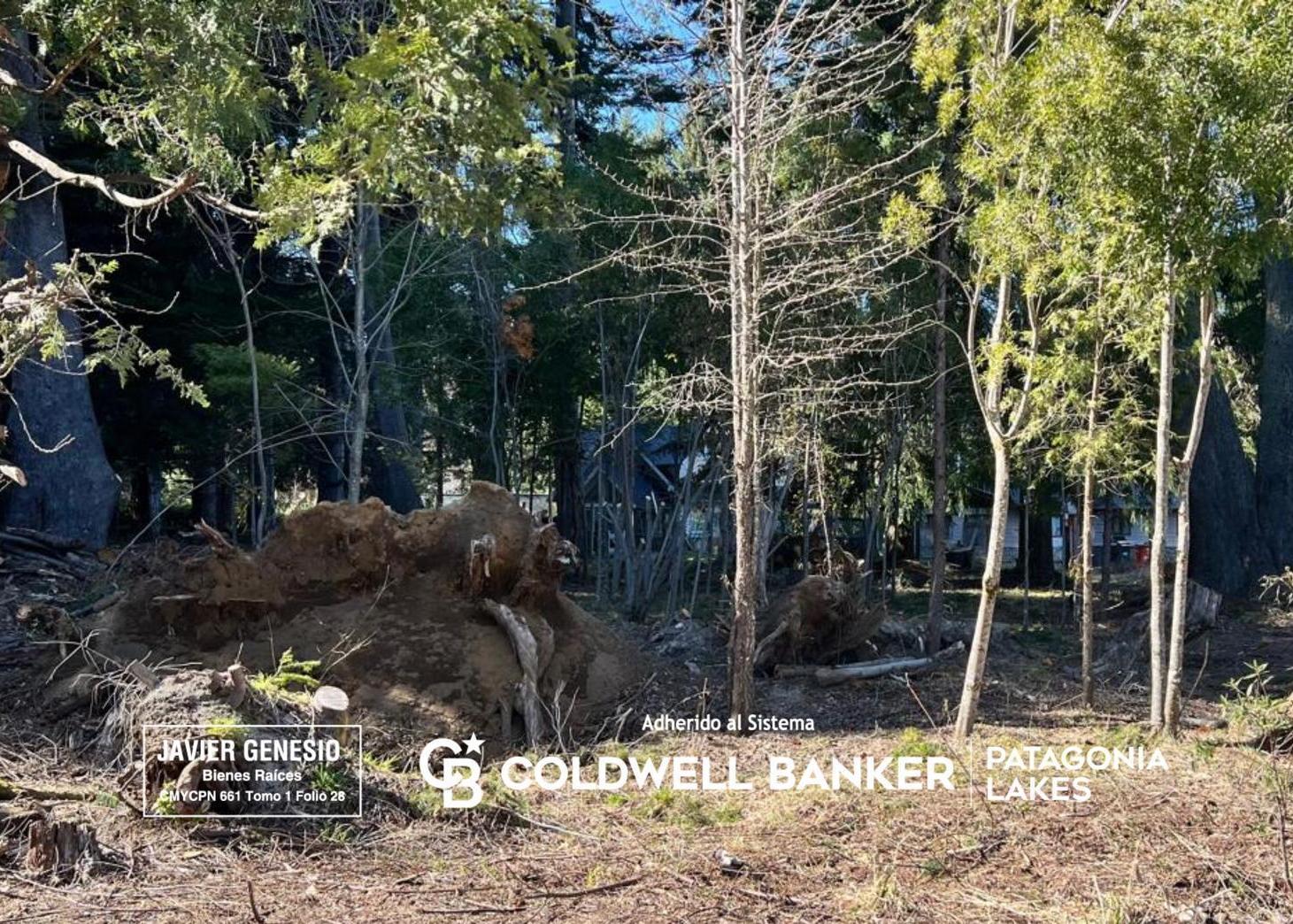 Foto de VENTA Lote 3.463 m2 Puerto Manzano Villa La Angostura, imagen 5