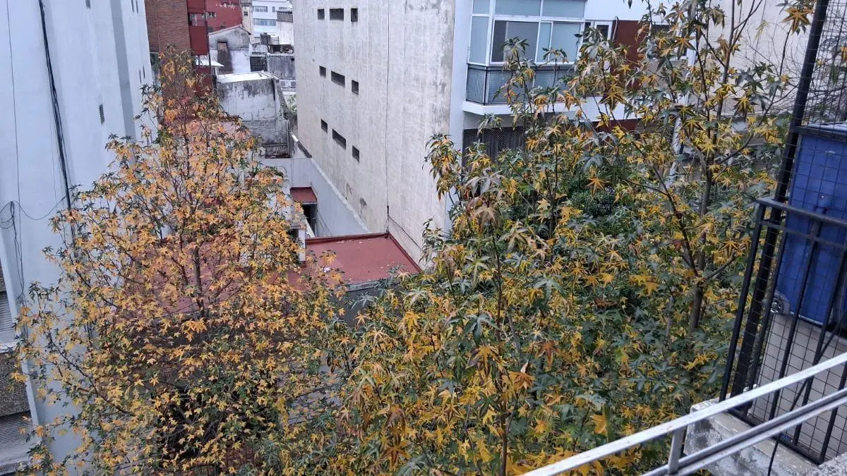 San Luis 2800 2