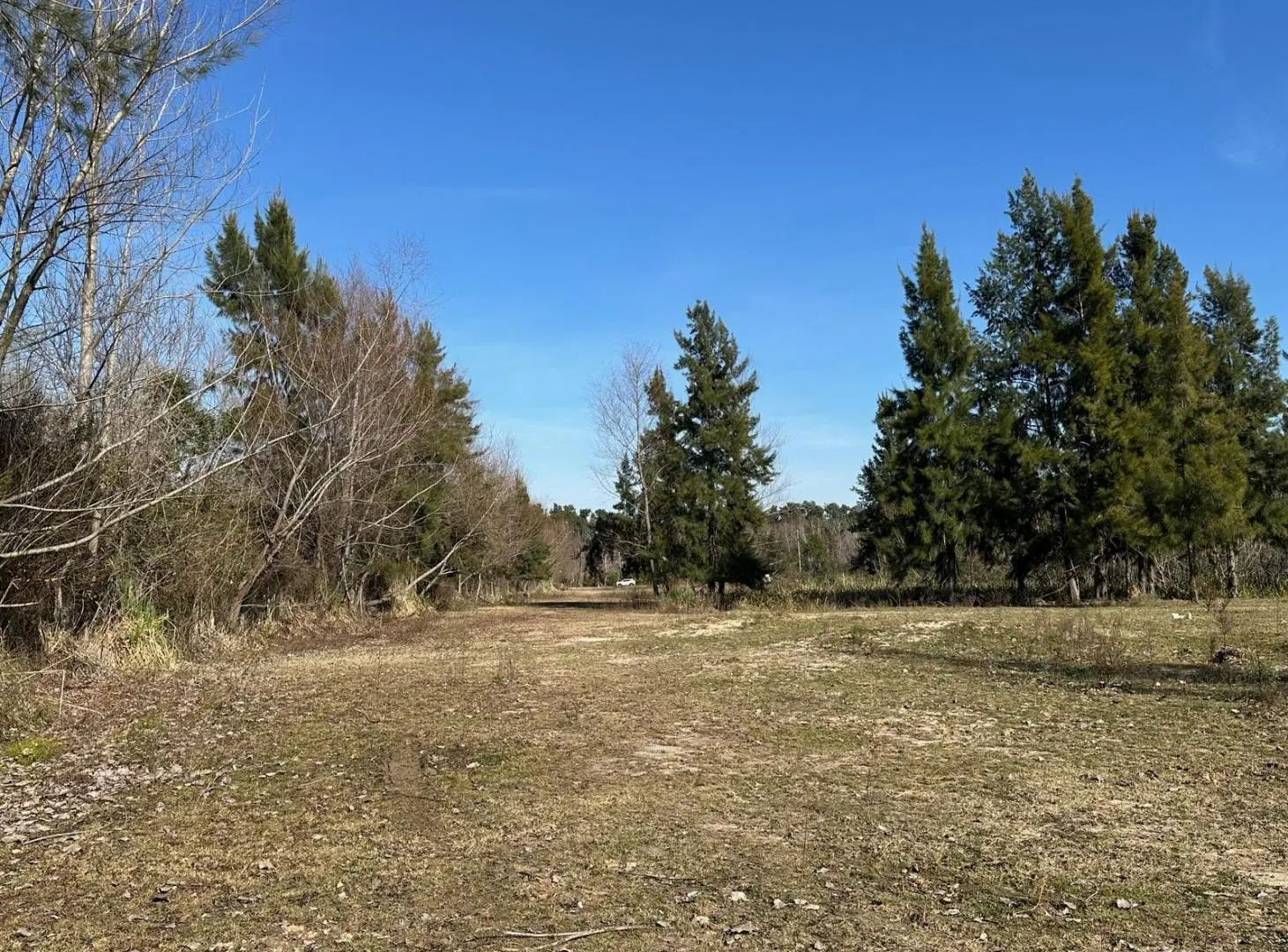 FRACCION DE 50.000 M2 (5 Ha) con 230 mts de costa sobre el Río - VILLA LA ÑATA - TIGRE 5