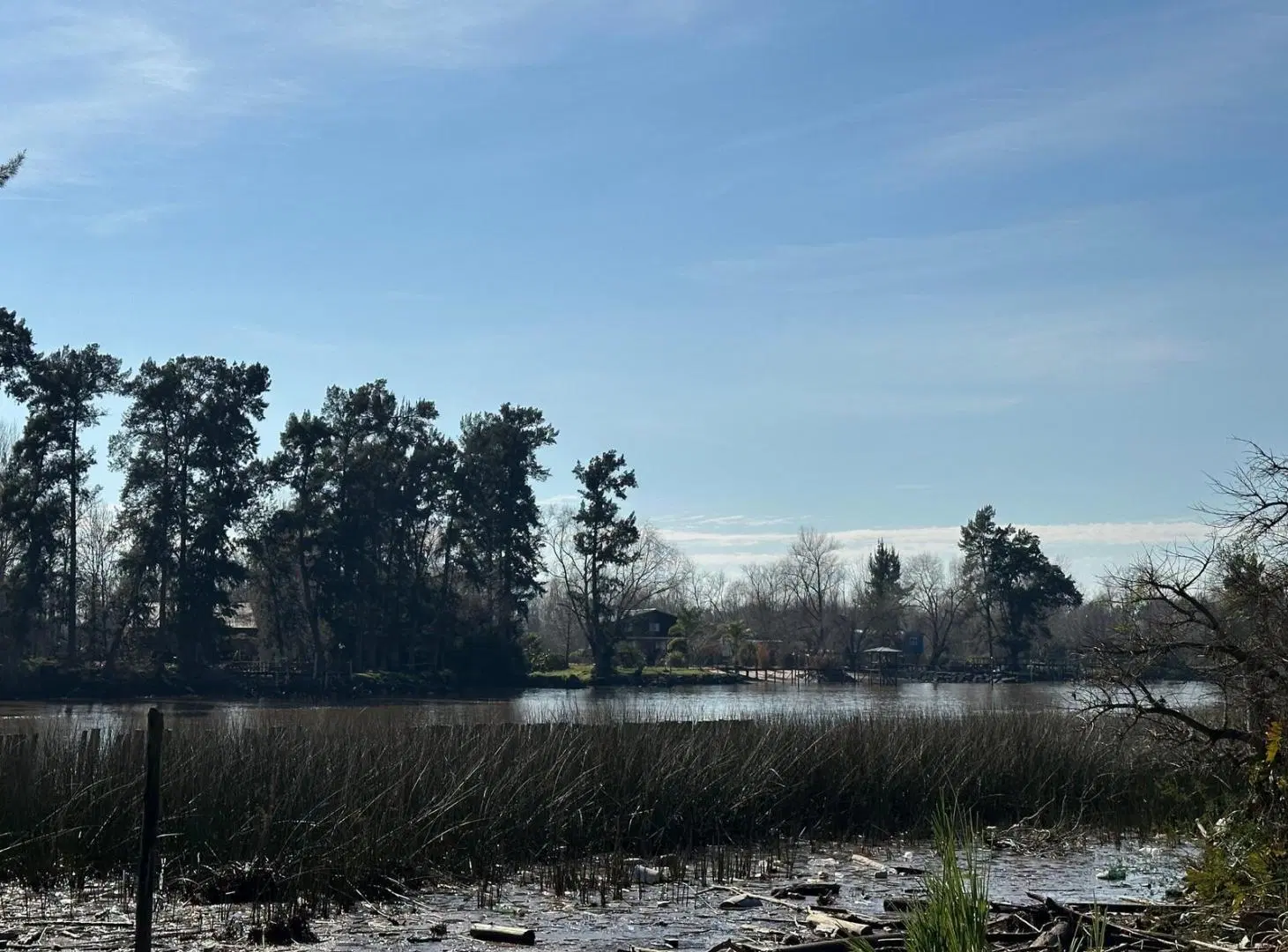 FRACCION DE 50.000 M2 (5 Ha) con 230 mts de costa sobre el Río - VILLA LA ÑATA - TIGRE 8