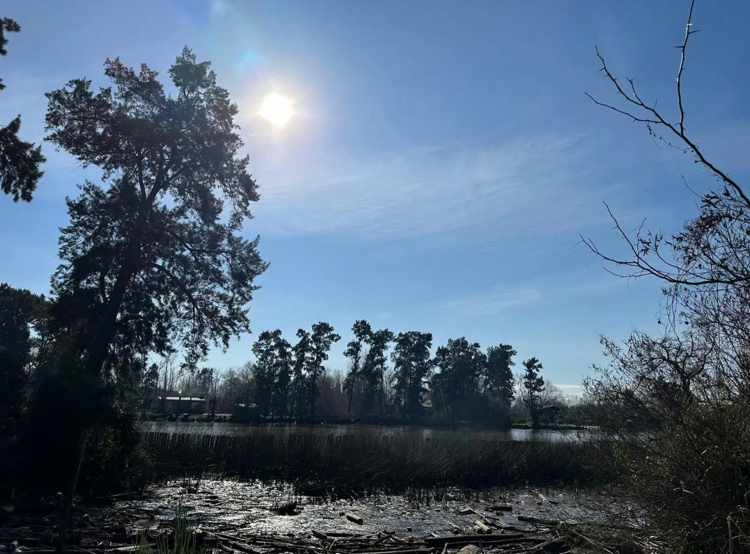 FRACCION DE 50.000 M2 (5 Ha) con 230 mts de costa sobre el Río - VILLA LA ÑATA - TIGRE 3