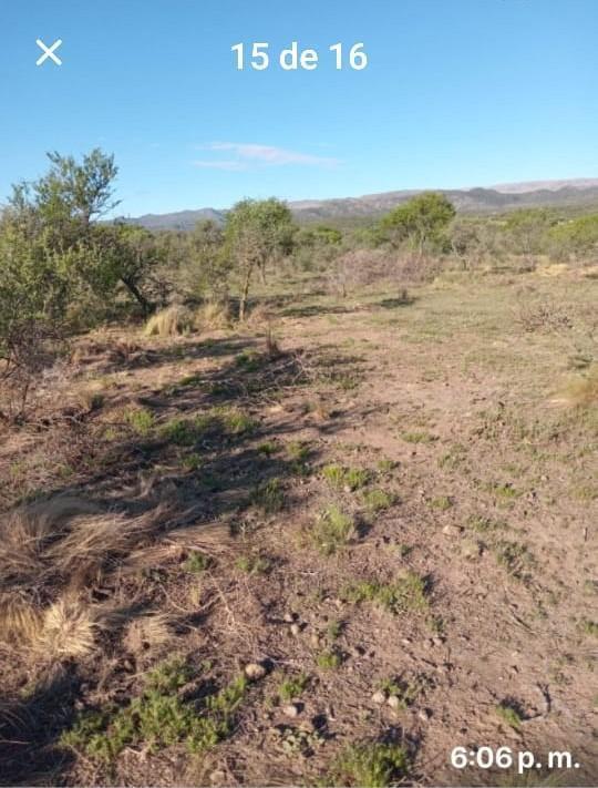 Foto de Terreno en Panaholma, imagen 3