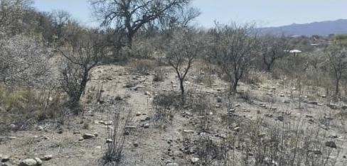 Foto de Terreno en Panaholma, imagen 5