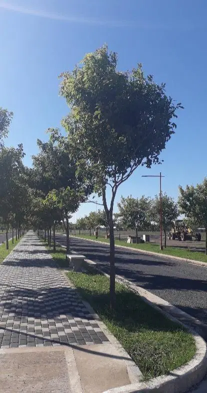 Terreno en venta de 627 m2 en Ribera Andino 5