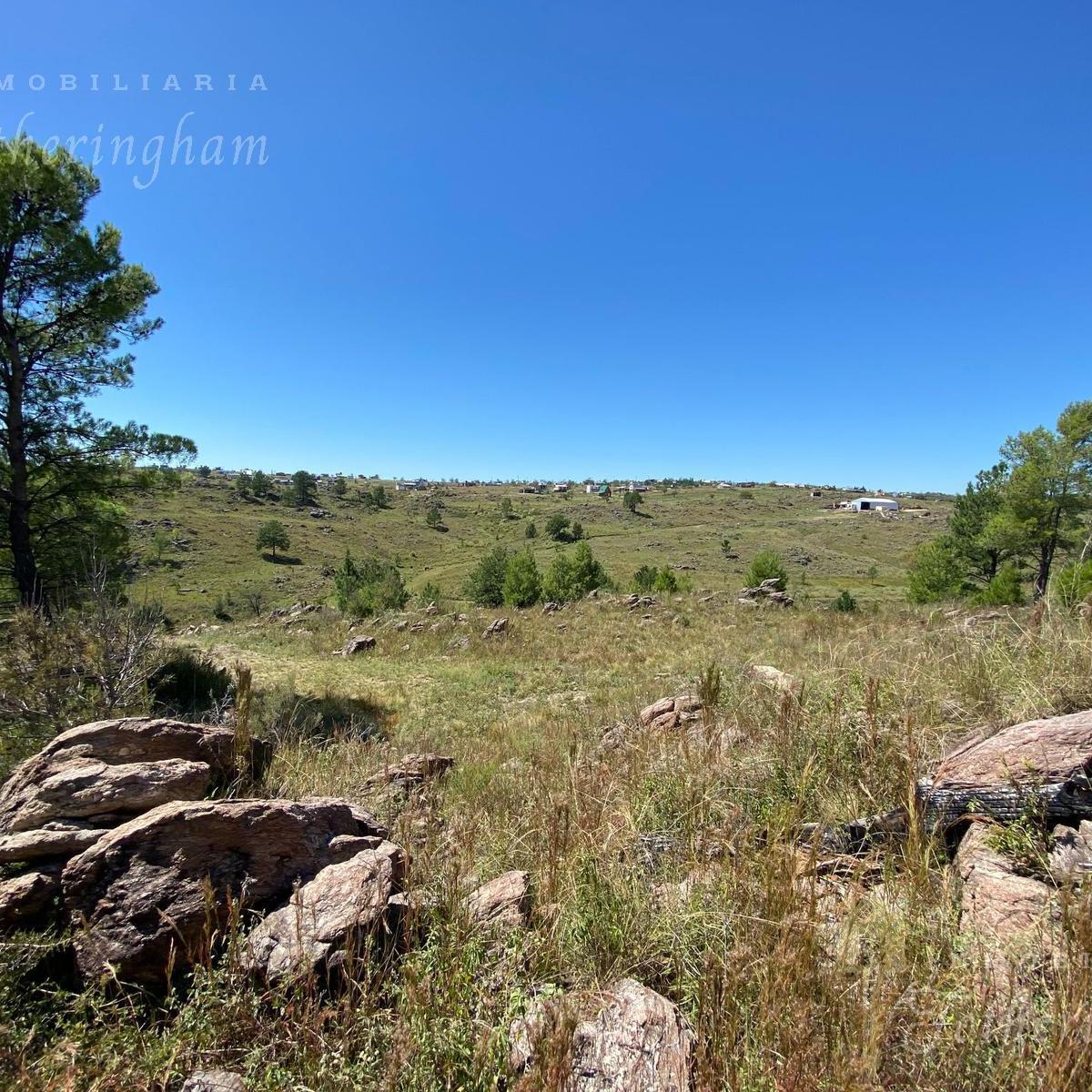 Se Venden 2 Lotes Colindantes | Yacanto de Calamuchita 3