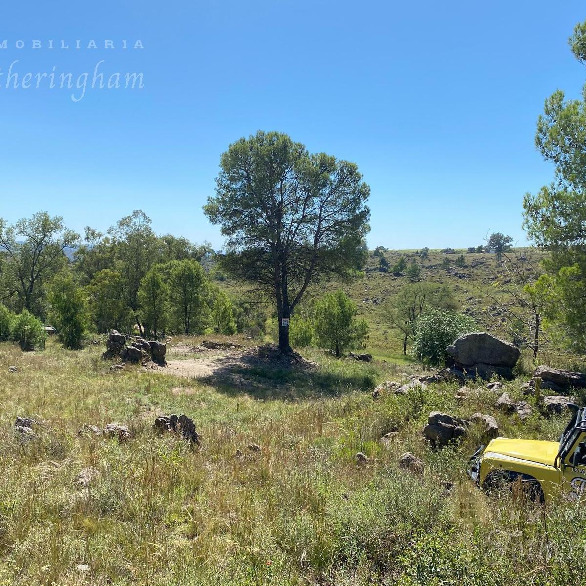 Se Venden 2 Lotes Colindantes | Yacanto de Calamuchita 5