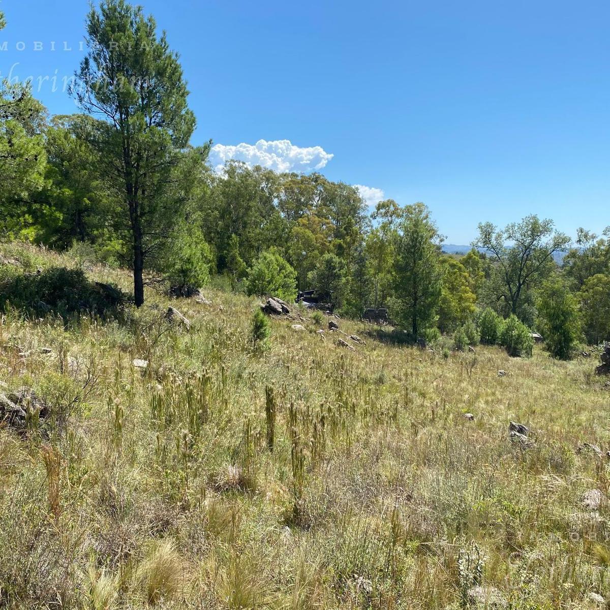 Se Venden 2 Lotes Colindantes | Yacanto de Calamuchita 4