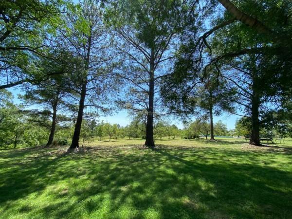 Complejo de Cabañas en Venta | Villa Yacanto | Valle de Calamuchita 5