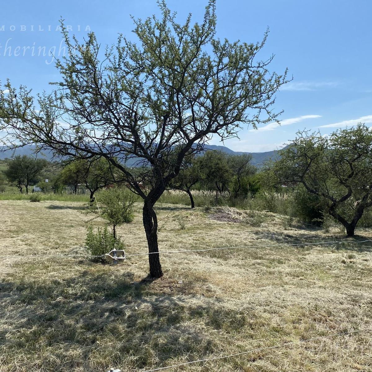 Lote en Venta | Bº Quinto Loteo | Santa Rosa de Calamuchita 5