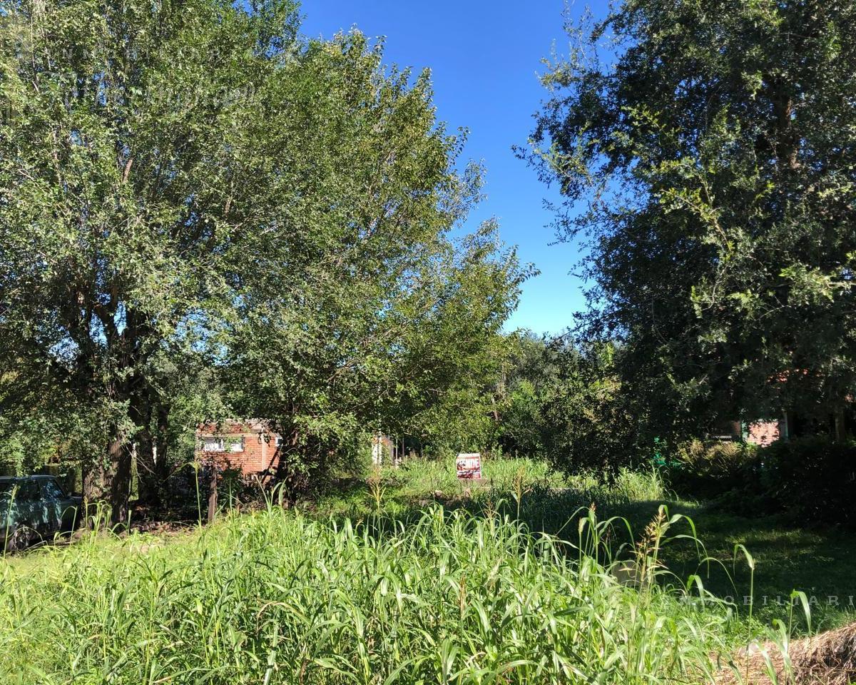 Lote en Venta Bª Las Barrancas | Santa Rosa |calamuchita. 4