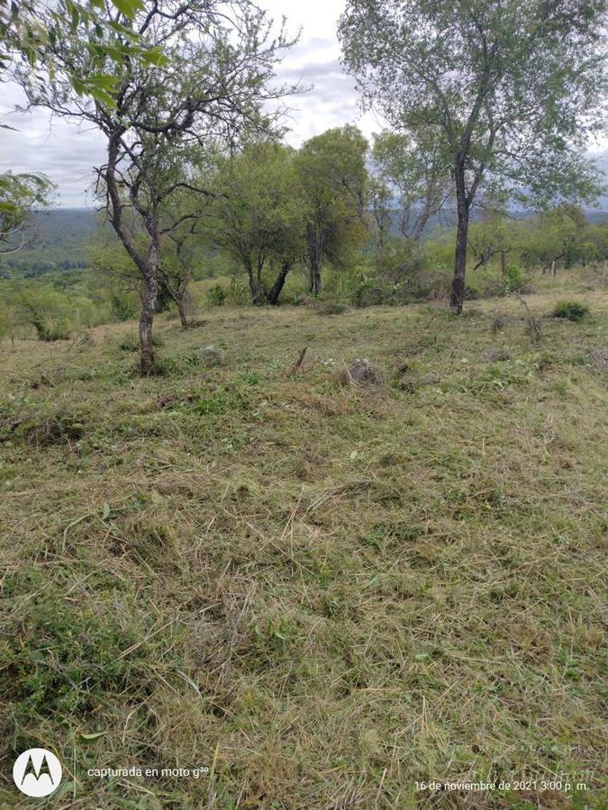 Lotes Colindantes en Venta | Zona La Olla | Santa Mónica 4