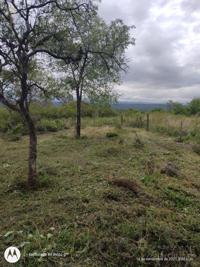 Lotes Colindantes en Venta | Zona La Olla | Santa Mónica 1