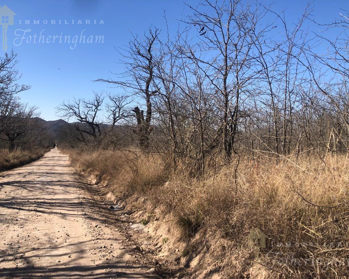 Foto de LOTE EN VENTA | Bº VELEZ CRESPO | SAN IGNACIO, imagen 2