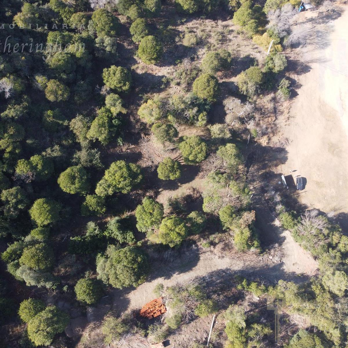 Excelente Hectarea en Venta Sobre Ruta 5 Km 88 | Santa Rosa de Calamuchita 5