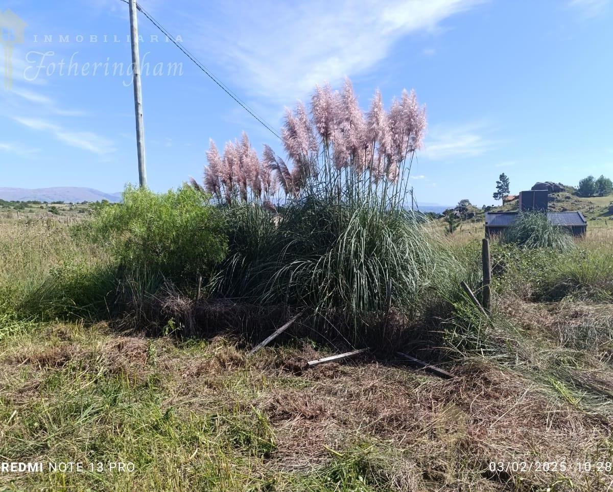 Lote en Venta | Yacanto de Calamuchita 5