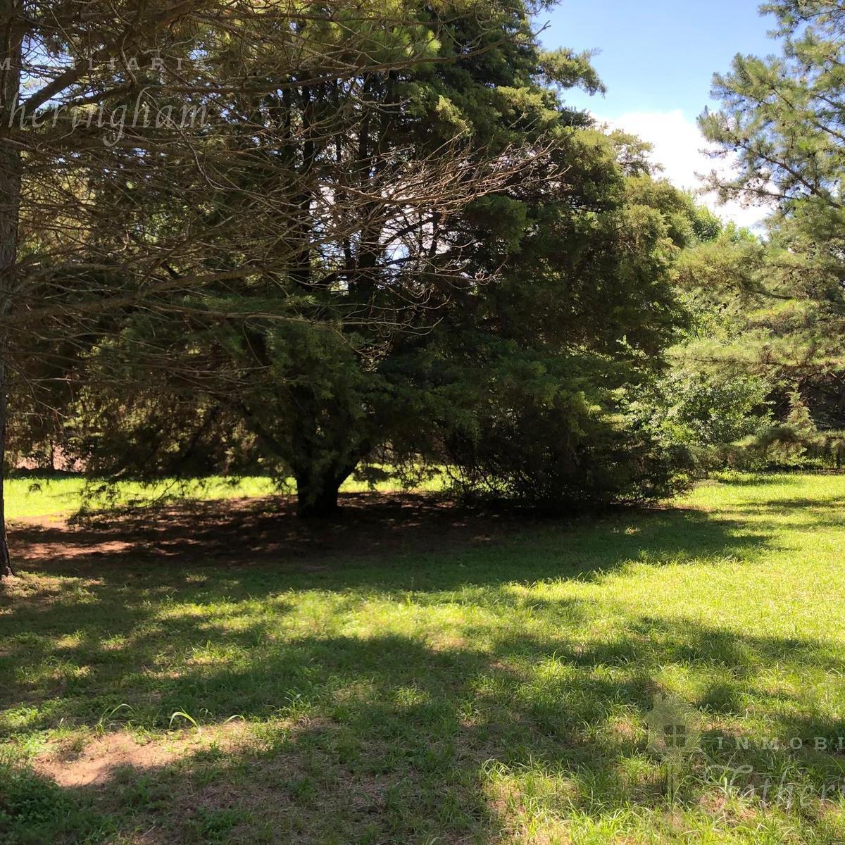 Dos Lotes Colindantes en Venta | Bº Sexto Loteo | Santa Rosa de Calamuchita 2