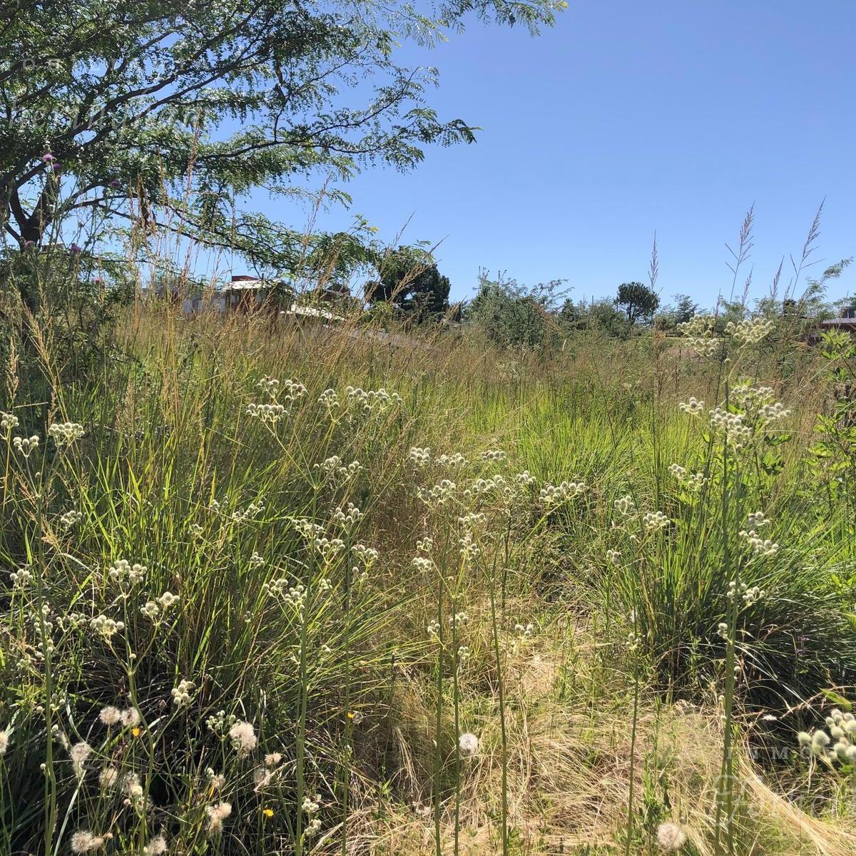 Oportunidad Unica Lotes en Venta | Yacanto | Valle de Calamuchita 5
