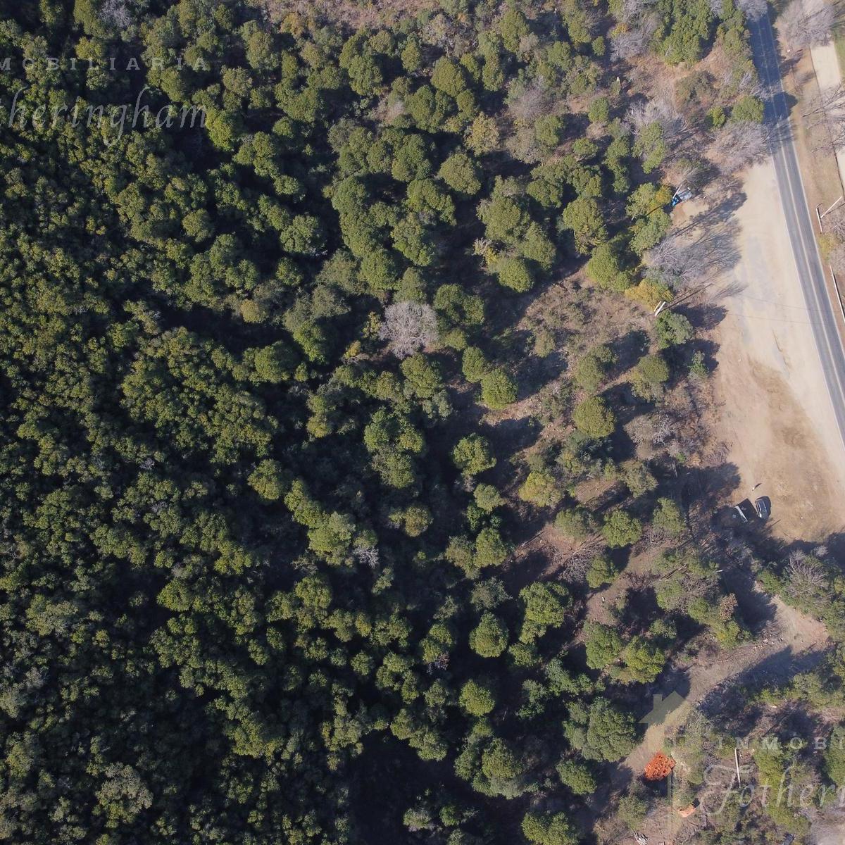 Excelente Hectarea en Venta Sobre Ruta 5 Km 88 | Santa Rosa de Calamuchita 2