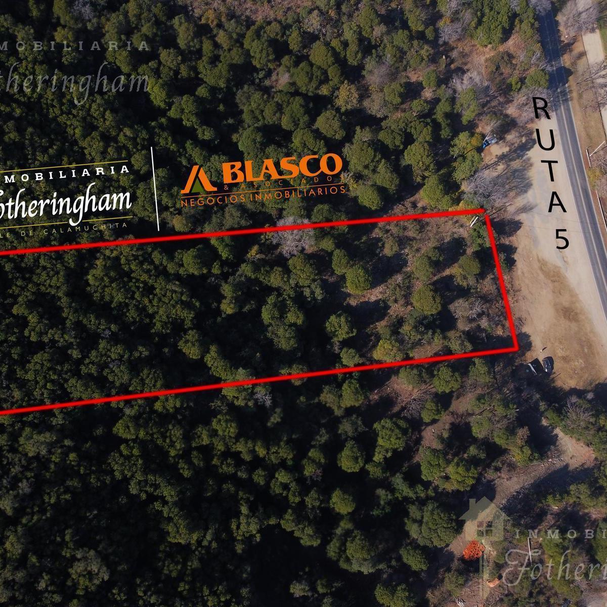Excelente Hectarea en Venta Sobre Ruta 5 Km 88 | Santa Rosa de Calamuchita 3