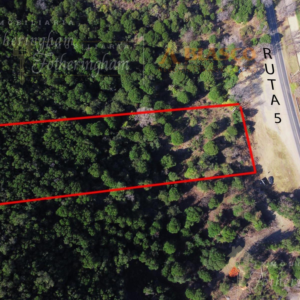 Excelente Hectarea en Venta Sobre Ruta 5 Km 88 | Santa Rosa de Calamuchita 1