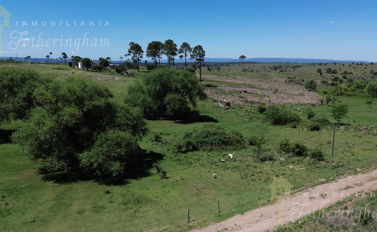 Terreno en Yacanto Calamuchita